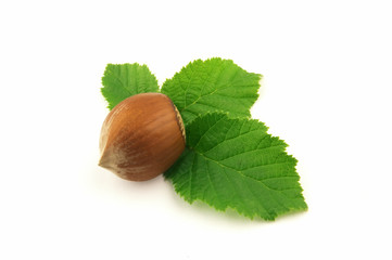 Hazelnut