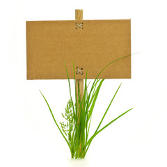 panneau d'information et brin d'herbes détouré - fond blanc