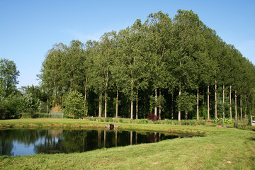 Etang de pêche