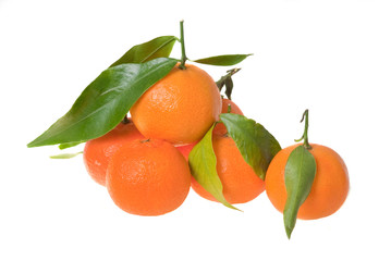 tangerines