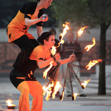 Feuerfeen - Fire fays