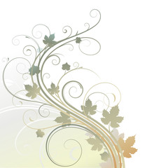 Vector illustration of style Floral Background