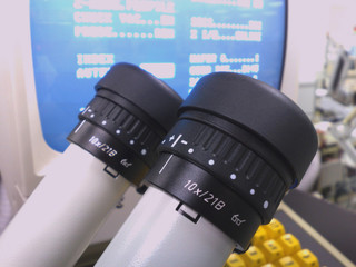 Stereomicroscope eyepieces