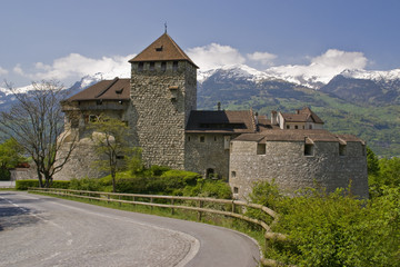 Fototapeta na wymiar Schloss Vaduz w Liechtensteinie