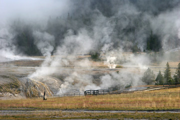 YELLOWSTONE PARK,WYOMING_USA