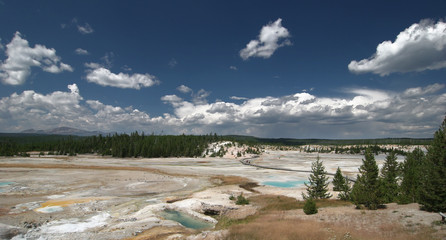 YELLOWSTONE PARK,WYOMING_USA