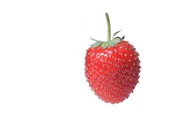 Strawberry isolated