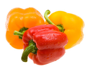 Close-up color paprika with water drops isolated on white