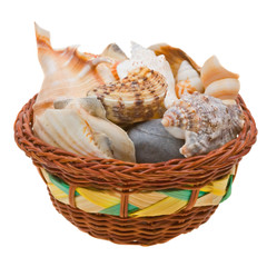 Sea shells in a basket isolated over white