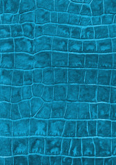 Cyan reptile leather imitation texture
