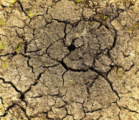 Cracked dry soil closeup
