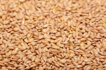 seeds