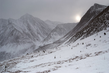 Fototapeta na wymiar Eastern Sayan mountains. Altai.