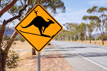 Vorsicht Känguru! © fotobeam