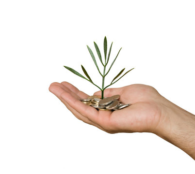 Palm with a plant growng from pile of coins
