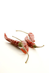 getrocknete Chilli Schoten