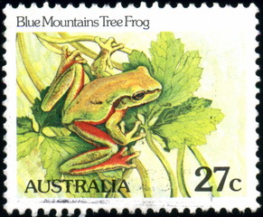 Australia. blue moutains tree frog. Timbre postal.