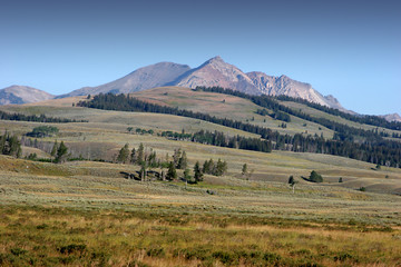 YELLOWSTONE PARK,WYOMING_USA