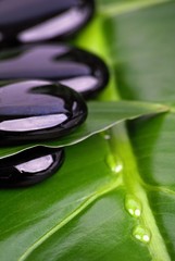 galets noirs et gouttes d'eau