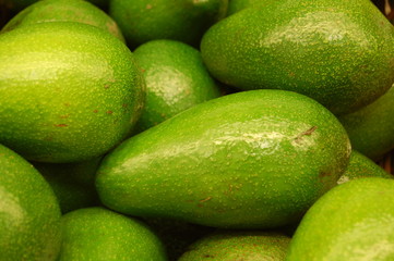 Avocado fruit
