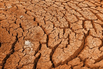 cracking dry earth