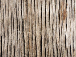 texture