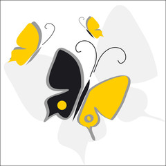 Farfalle giallo nera