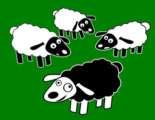 Different Black Sheep Fun Character