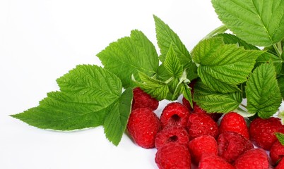 Ripe Raspberry