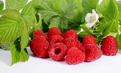 Ripe Raspberry