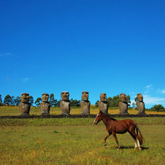 Moai and Hourse (Easter Island)