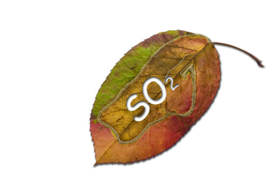 schwefeldioxid