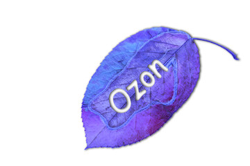 ozon