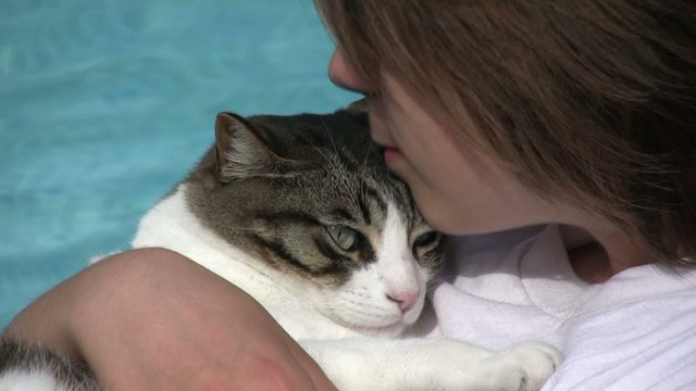 c&acirc;liner son gros chat