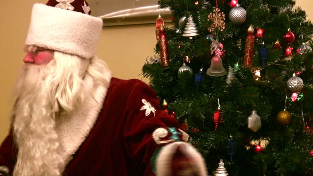 entering Ded Moroz and christmas tree