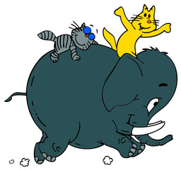 Cats and Elephant
