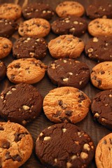 Chocolate cookie biscuits