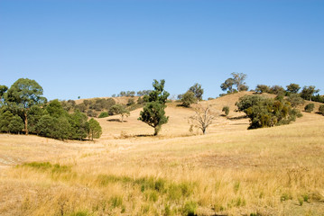 Rural Scene © Phillip Minnis