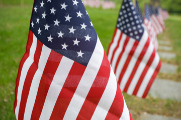 Memorial Day American flags in cemetery