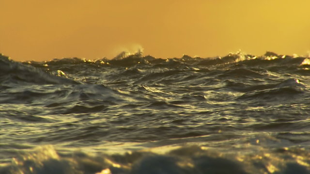 Springende Wellen bei Sonnenaufgang
