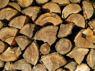 Brennholz - firewood