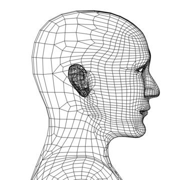 Head of the person from a 3d grid