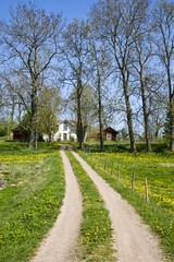 Obraz premium Gravel road