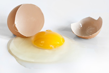 Egg