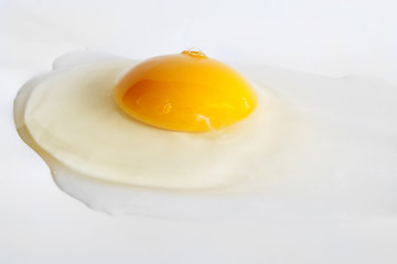 Egg