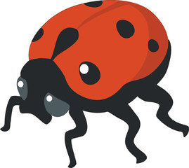 ladybird 02