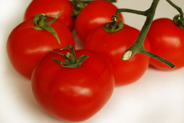 Tomatoes