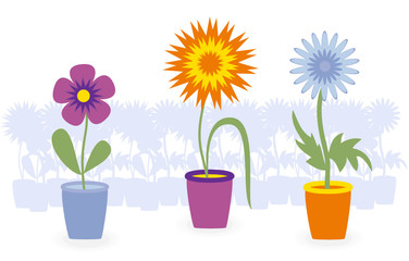 Flowers in pots