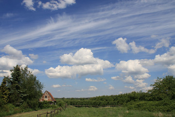 Fototapeta premium Ländliche Idylle mit bizarren Wolken