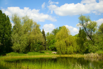 Fototapeta na wymiar Landscape with pond